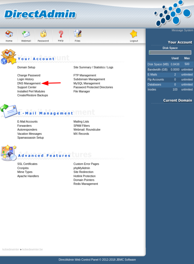 DNS Management openen